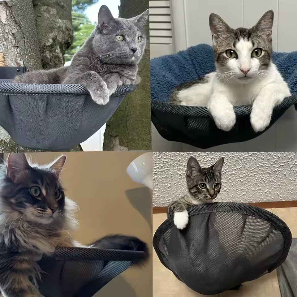 Kattenhangmat Muurbevestiging Opvouwbaar Kattenbed Stabiel Ademend
