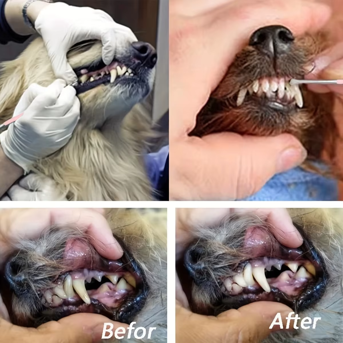 Hundezahnreiniger Edelstahl Zahnsteinentferner Doppelseitiges Dentalinstrument