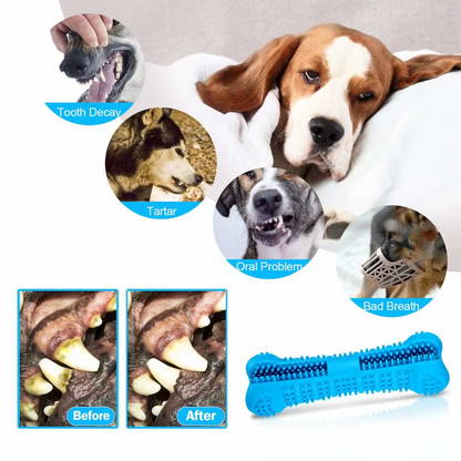 Hundezahnbürsten-Stick 360° Gummi-Kauspielzeug Zahnreinigung kleine Hunde