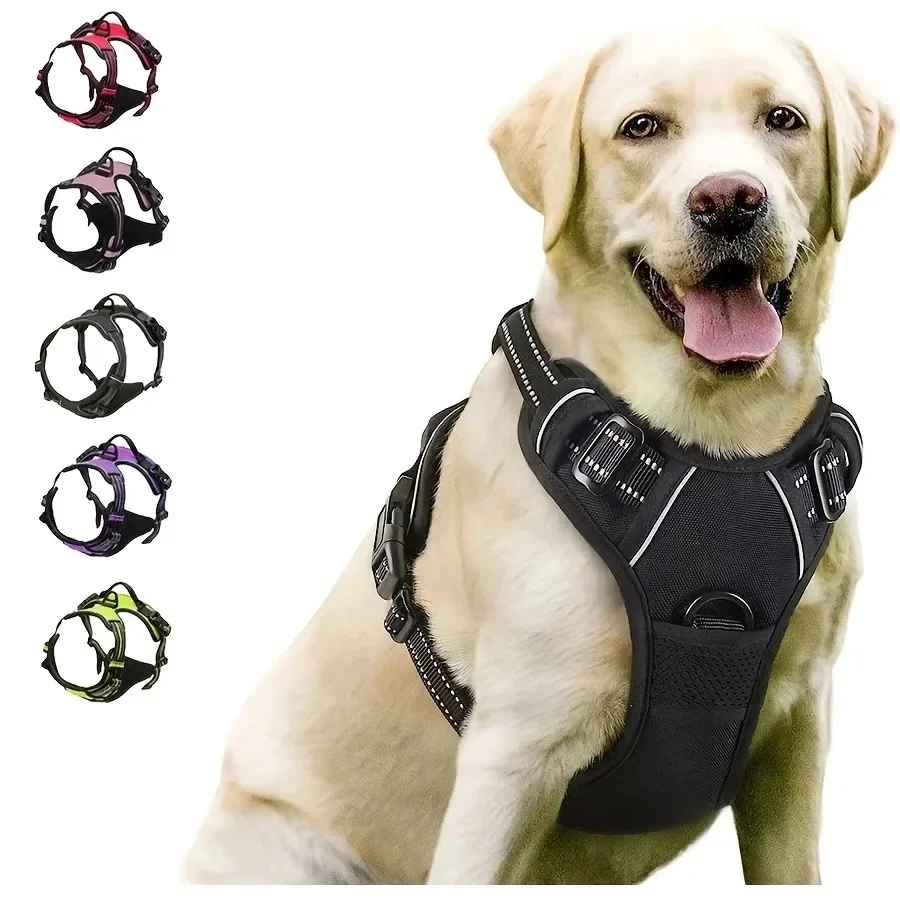 Dog wearing an adjustable no-pull harness with back handle.