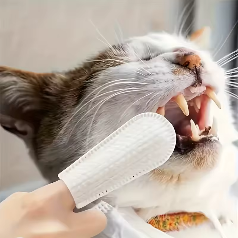 Oor reinigingsdoekjes voor huisdieren Honden Katten oorverzorging Vingerdoekjes Oormijtverwijderaar