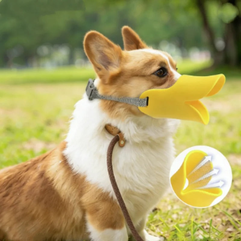 Silikon-Hundeschnauze im Enten-Design