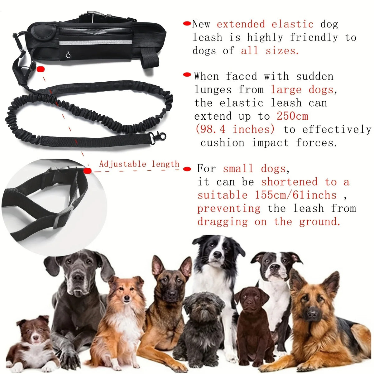 Handsfree Hondenriem met Heuptas